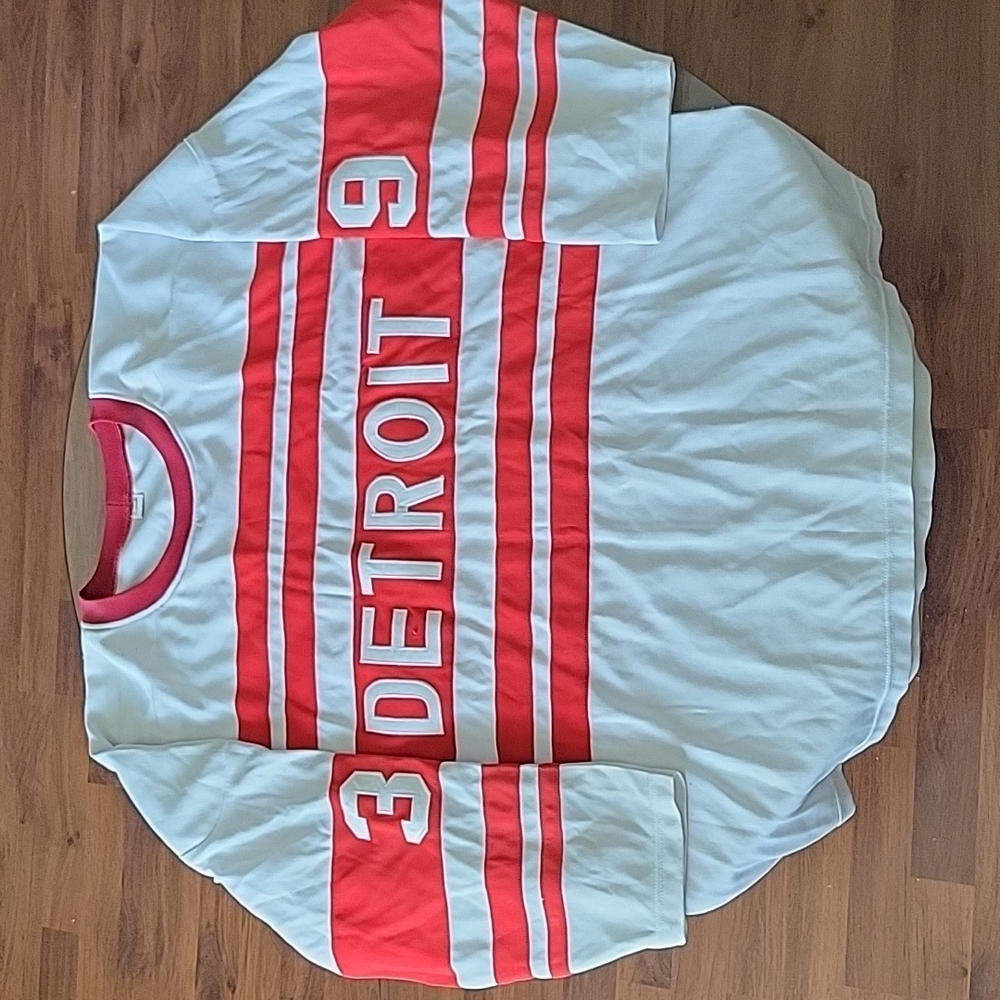 Vintage Throwback Detroit Redwings hockey jersey Hasek #39